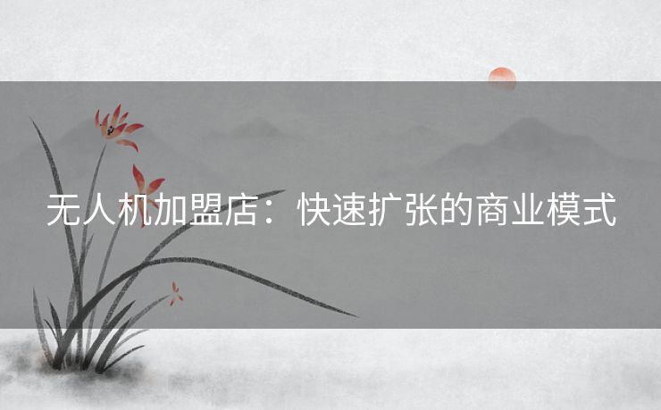 无人机加盟店：快速扩张的商业模式