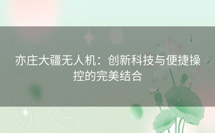 亦庄大疆无人机：创新科技与便捷操控的完美结合