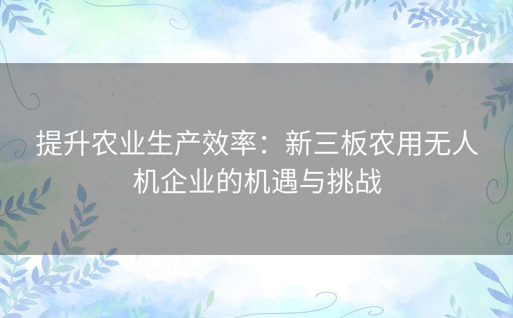 提升农业生产效率：新三板农用无人机企业的机遇与挑战