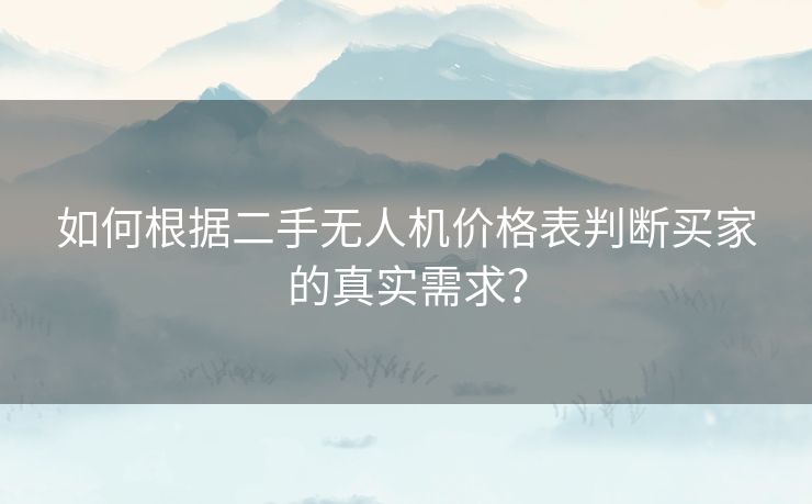 如何根据二手无人机价格表判断买家的真实需求？