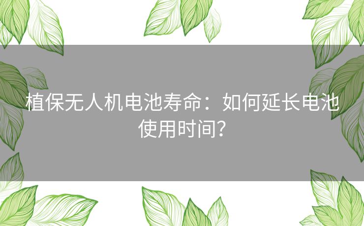 植保无人机电池寿命：如何延长电池使用时间？