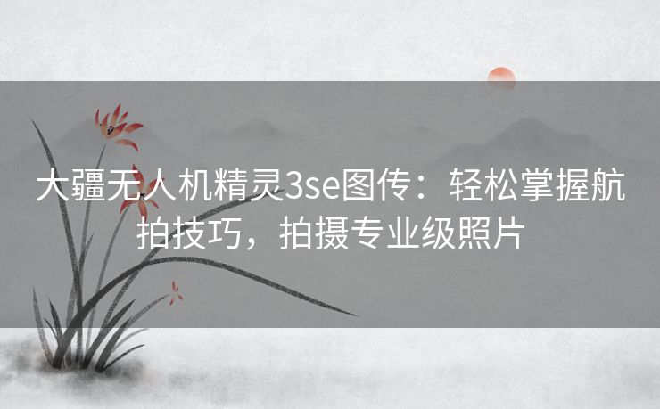 大疆无人机精灵3se图传：轻松掌握航拍技巧，拍摄专业级照片