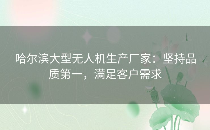 哈尔滨大型无人机生产厂家：坚持品质第一，满足客户需求