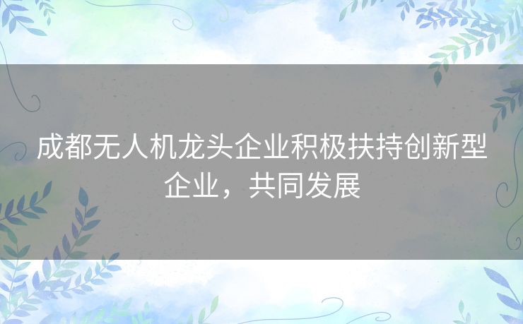 成都无人机龙头企业积极扶持创新型企业，共同发展