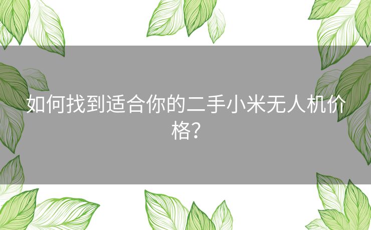 如何找到适合你的二手小米无人机价格？