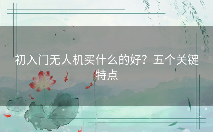 初入门无人机买什么的好？五个关键特点