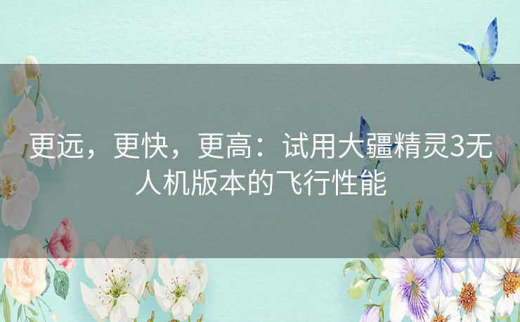 更远，更快，更高：试用大疆精灵3无人机版本的飞行性能