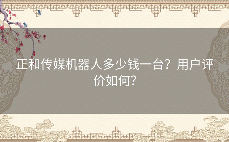 正和传媒机器人多少钱一台？用户评价如何？