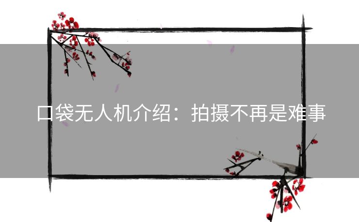 口袋无人机介绍：拍摄不再是难事