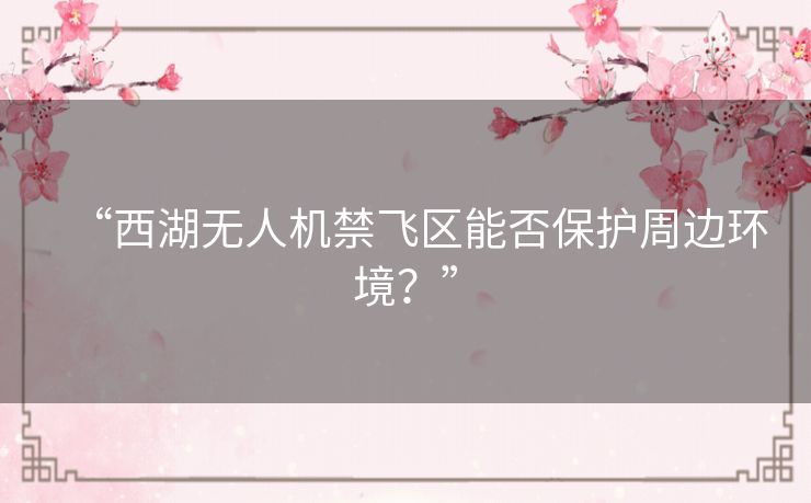 “西湖无人机禁飞区能否保护周边环境？”