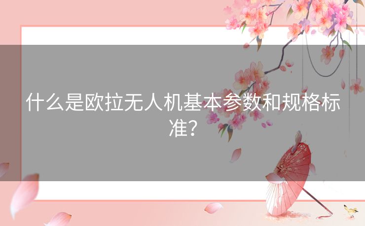 什么是欧拉无人机基本参数和规格标准？