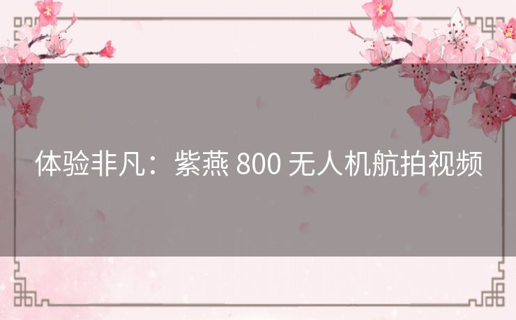 体验非凡：紫燕 800 无人机航拍视频