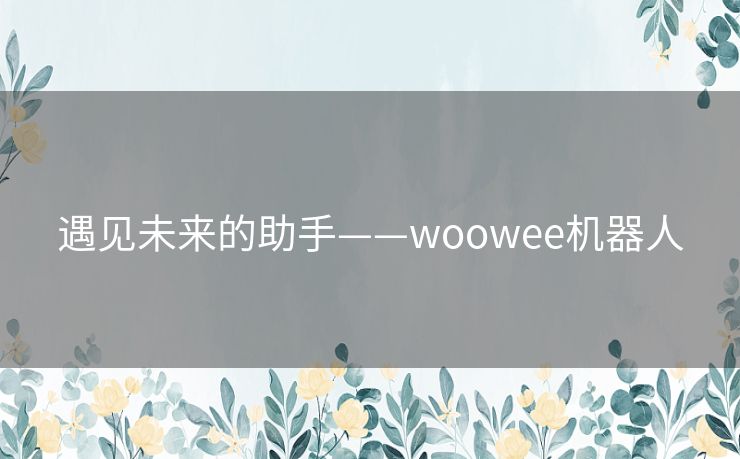 遇见未来的助手——woowee机器人