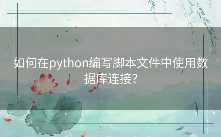 如何在python编写脚本文件中使用数据库连接？