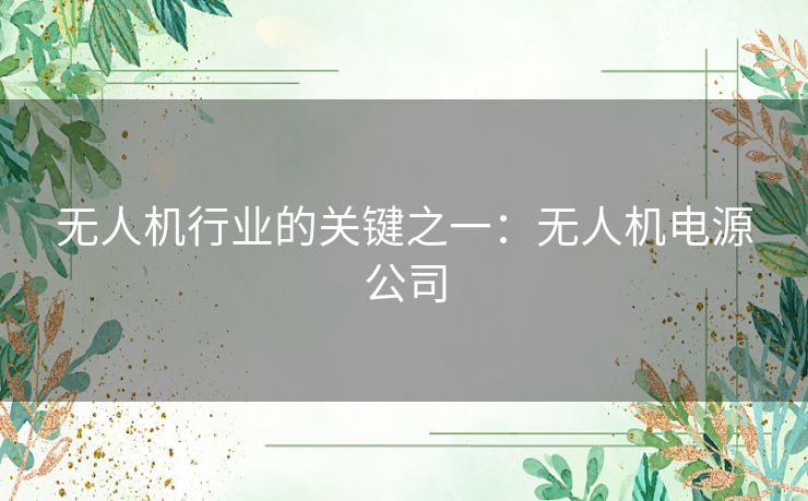 无人机行业的关键之一：无人机电源公司