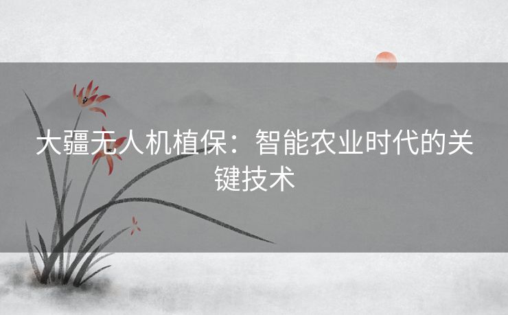 大疆无人机植保：智能农业时代的关键技术