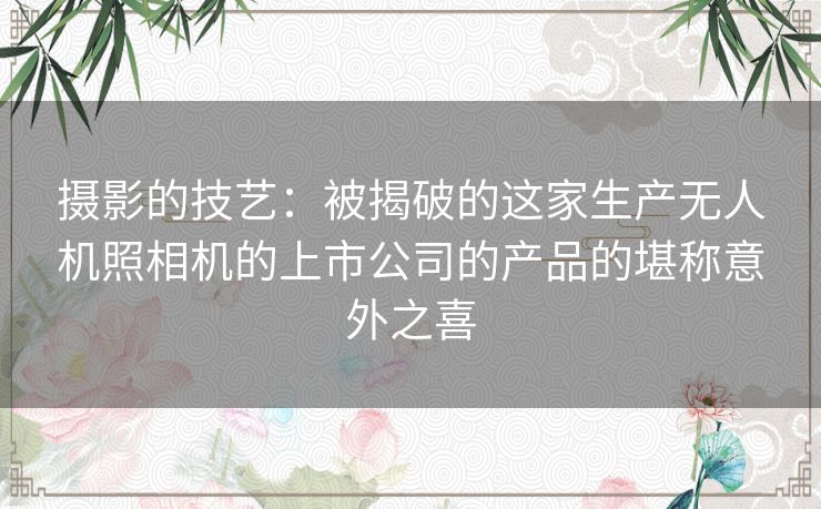 摄影的技艺：被揭破的这家生产无人机照相机的上市公司的产品的堪称意外之喜