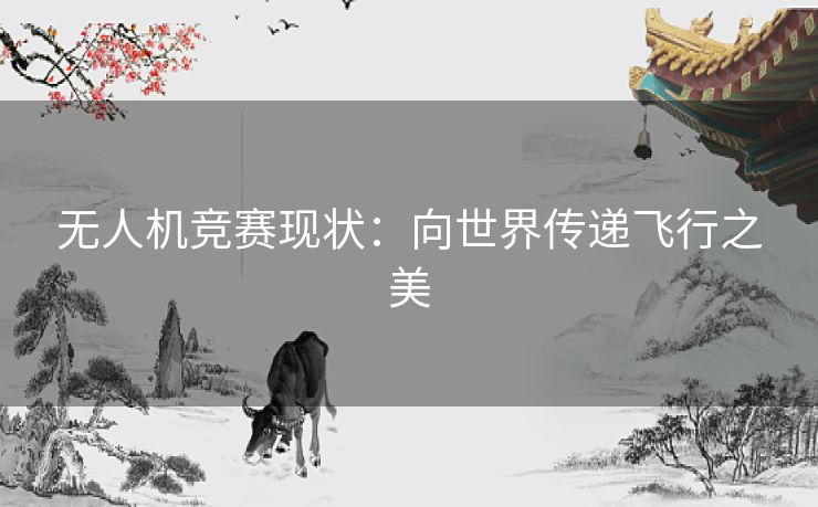 无人机竞赛现状：向世界传递飞行之美