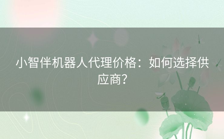 小智伴机器人代理价格：如何选择供应商？