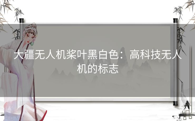 大疆无人机桨叶黑白色：高科技无人机的标志