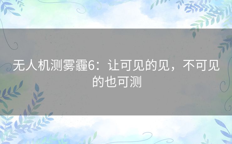 无人机测雾霾6：让可见的见，不可见的也可测