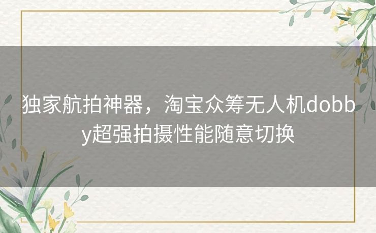 独家航拍神器，淘宝众筹无人机dobby超强拍摄性能随意切换