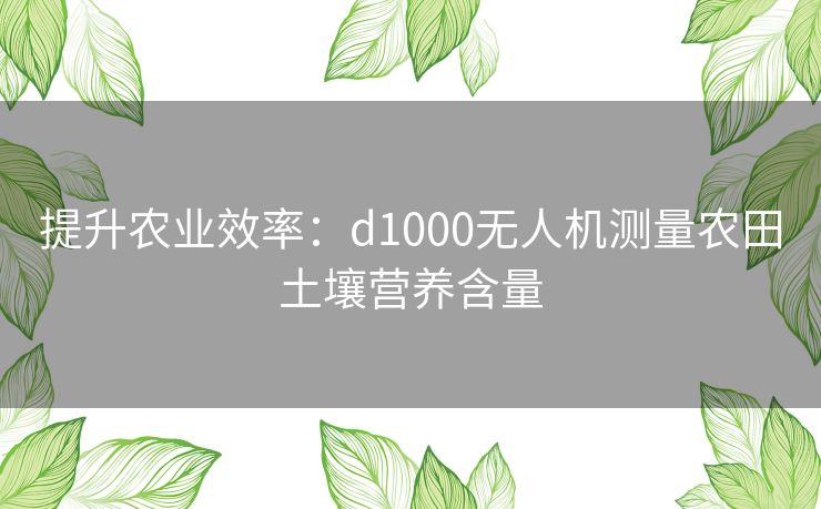 提升农业效率：d1000无人机测量农田土壤营养含量