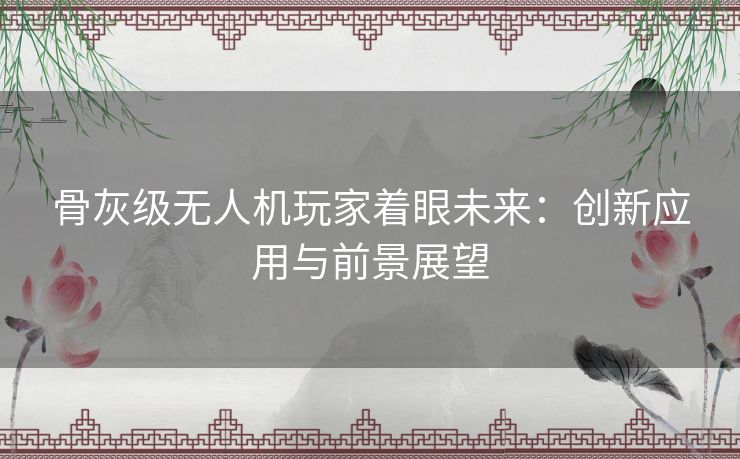 骨灰级无人机玩家着眼未来：创新应用与前景展望