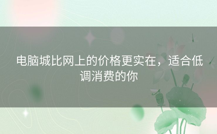 电脑城比网上的价格更实在，适合低调消费的你