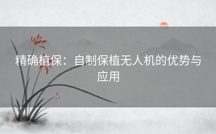 精确植保：自制保植无人机的优势与应用