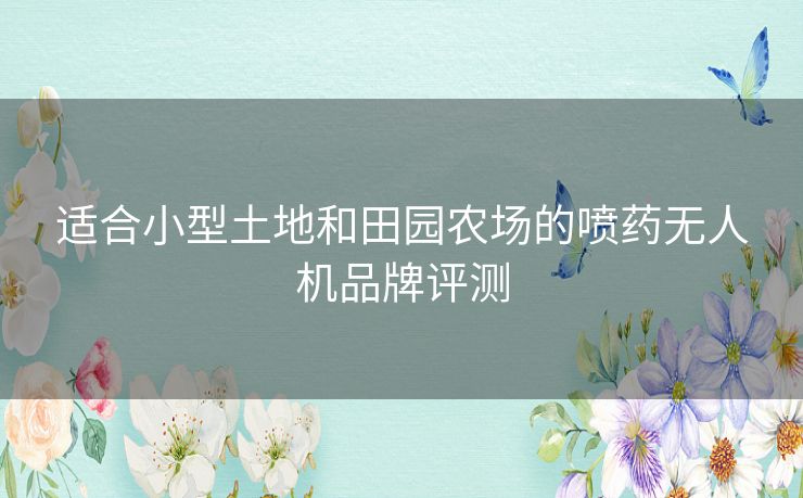 适合小型土地和田园农场的喷药无人机品牌评测