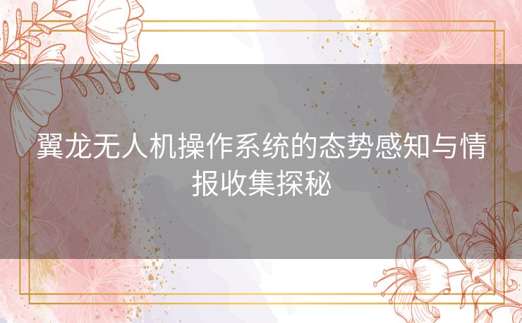 翼龙无人机操作系统的态势感知与情报收集探秘