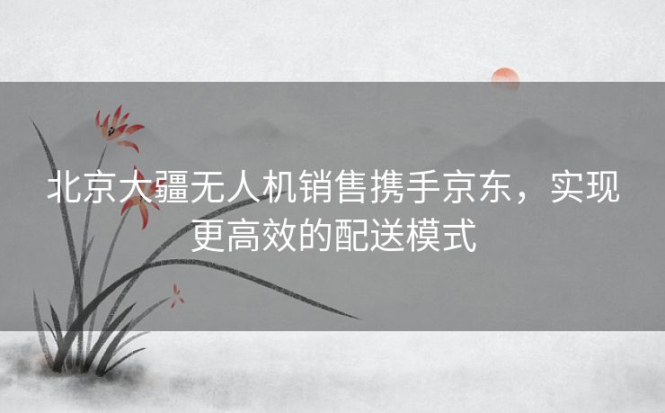 北京大疆无人机销售携手京东，实现更高效的配送模式