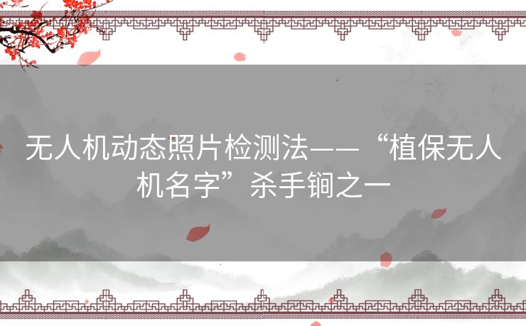 无人机动态照片检测法——“植保无人机名字”杀手锏之一