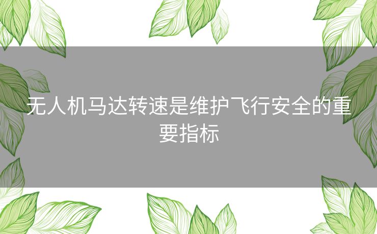 无人机马达转速是维护飞行安全的重要指标