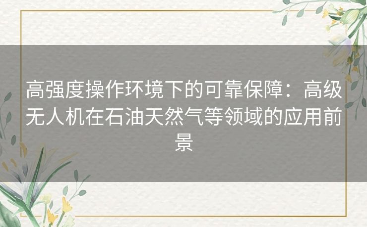 高强度操作环境下的可靠保障：高级无人机在石油天然气等领域的应用前景