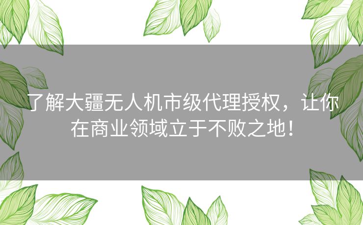 了解大疆无人机市级代理授权，让你在商业领域立于不败之地！