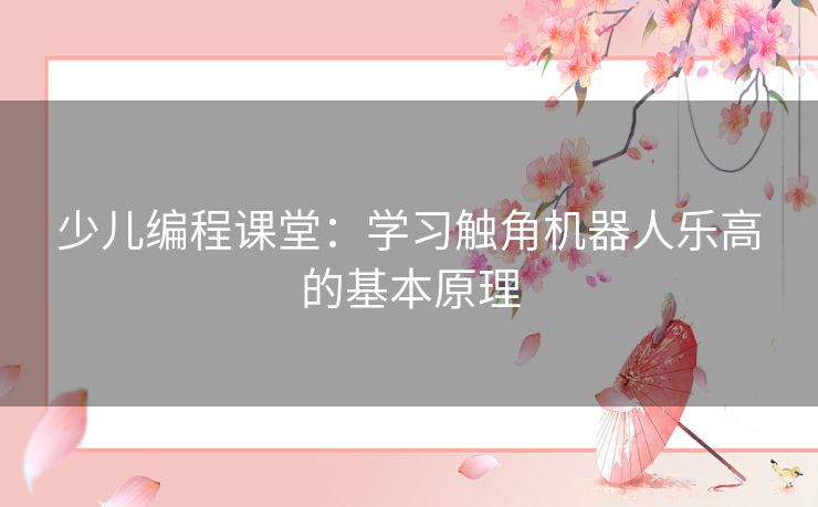 少儿编程课堂：学习触角机器人乐高的基本原理