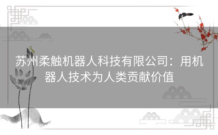 苏州柔触机器人科技有限公司：用机器人技术为人类贡献价值