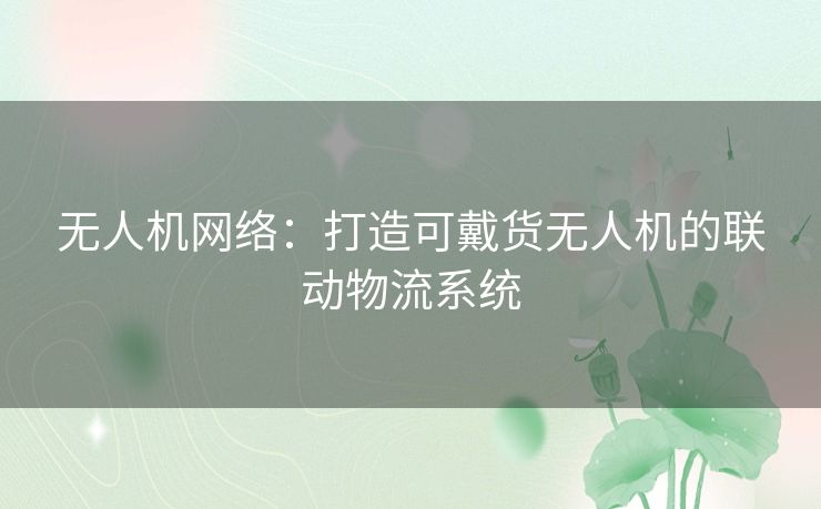 无人机网络：打造可戴货无人机的联动物流系统