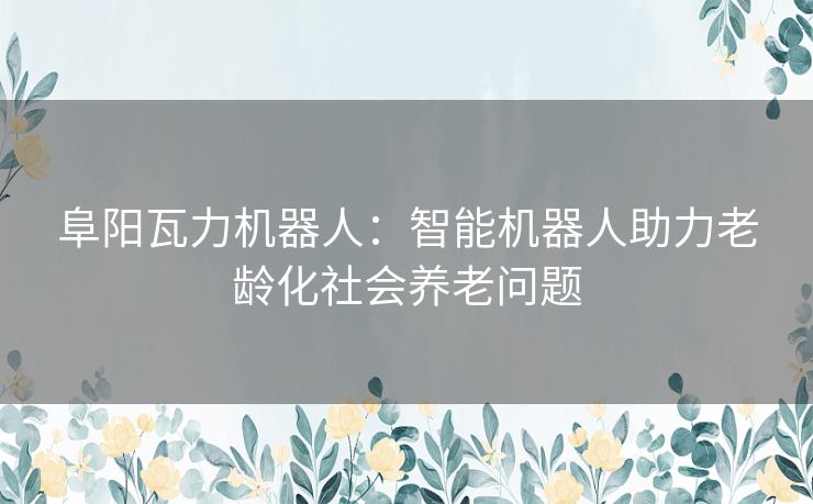 阜阳瓦力机器人：智能机器人助力老龄化社会养老问题