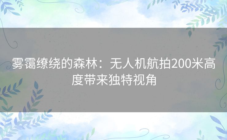 雾霭缭绕的森林：无人机航拍200米高度带来独特视角