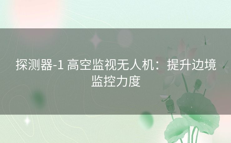 探测器-1 高空监视无人机：提升边境监控力度