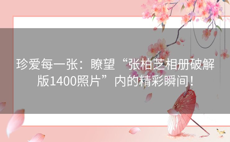 珍爱每一张：瞭望“张柏芝相册破解版1400照片”内的精彩瞬间！