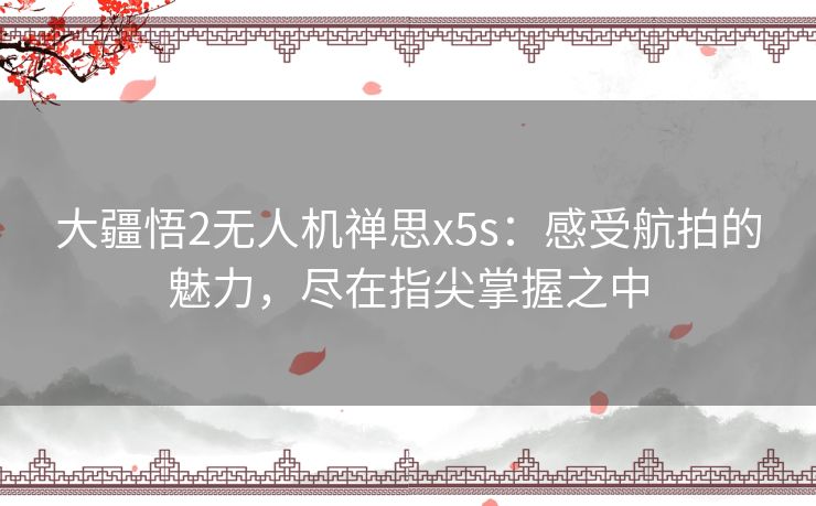 大疆悟2无人机禅思x5s：感受航拍的魅力，尽在指尖掌握之中