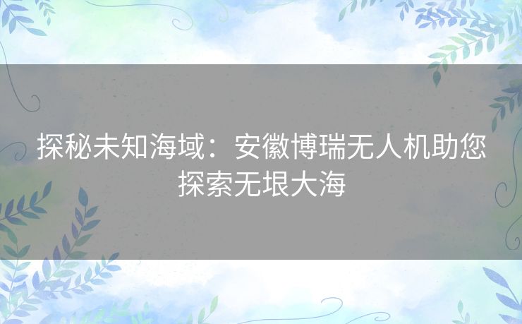 探秘未知海域：安徽博瑞无人机助您探索无垠大海