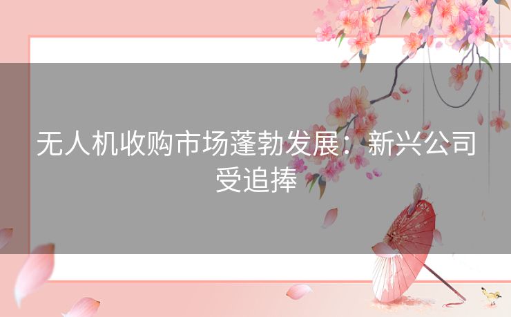 无人机收购市场蓬勃发展：新兴公司受追捧