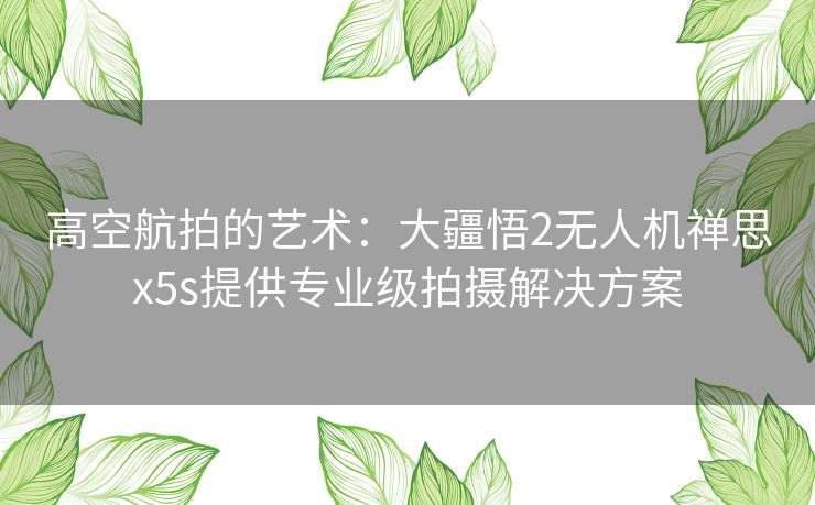 高空航拍的艺术：大疆悟2无人机禅思x5s提供专业级拍摄解决方案