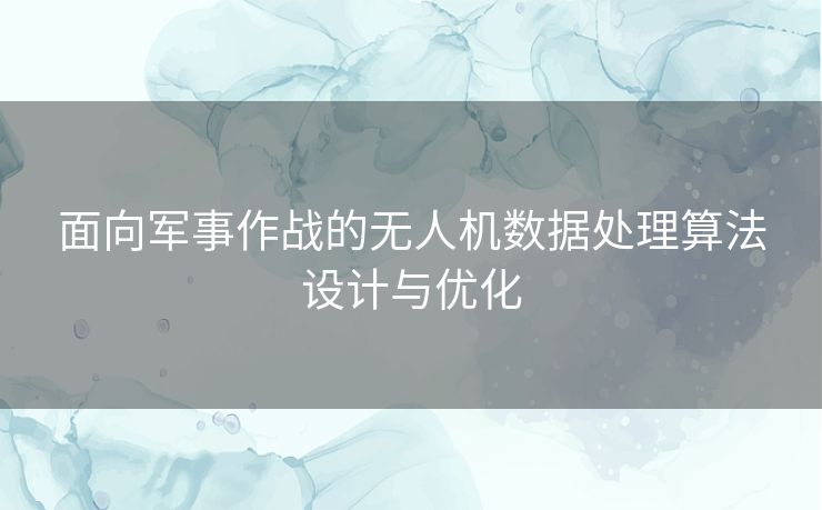 面向军事作战的无人机数据处理算法设计与优化