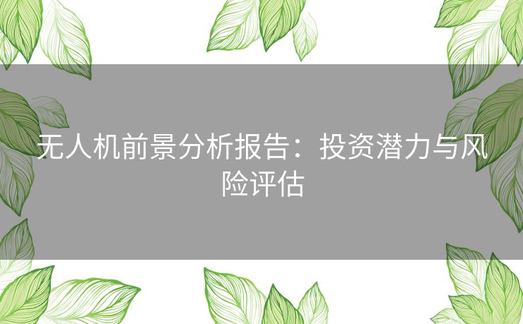 无人机前景分析报告：投资潜力与风险评估